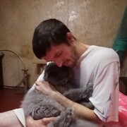 ���������� ����, ���� ������� �������, 37 ���, ������������ ��� ������, ����� � ���������, c�������� ���������