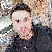  ,  Lion, 31