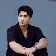 ���������� ���-�������, ������� Tayger, 31