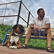 ���������� ������, ���� ������� �������, 39 ���, ������������ ��� ������, ����� � ���������, c�������� ���������