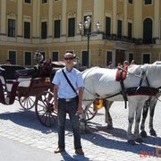  ,   , 51 ,     , c 