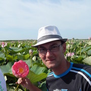  ,   , 44 ,   