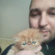 ���������� �������, ���� ������� �����, 40 ���, ������������ ��� ������, ����� � ���������