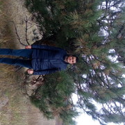 ���������� ��������������, ���� ������� ����, 41 ���, ������������ ��� ������, ����� � ���������, c�������� ���������