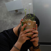 ���������� ����, ���� ������� Burakcan, 28 ���, ������������ ��� ������, ����� � ���������, c�������� ���������