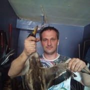  ,   , 48 ,   ,   , c , 