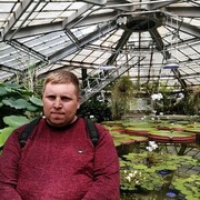 ���������� �����-���������, ���� ������� ����, 38 ���, ������������ ��� ������, ����� � ���������