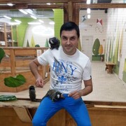 ���������� ������, ���� ������� ���������, 43 ����, ������������ ��� ���������