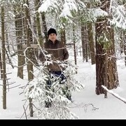 ���������� ������, ���� ������� �����, 37 ���, ������������ ��� ������, ����� � ���������