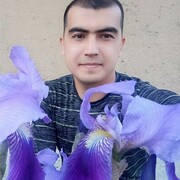 ���������� ���������, ���� ������� ������, 34 ����, ������������ ��� ������, ����� � ���������, c�������� ���������, ���������