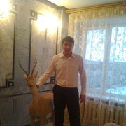 ���������� ����-�����������, ���� ������� Tims, 38 ���, ������������ 