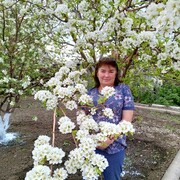  ,   , 52 ,   ,   