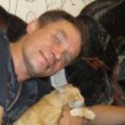  ,   , 55 ,   