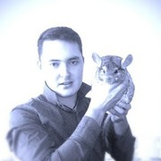 ���������� ������, ���� ������� ������, 36 ���, ������������ ��� ������, ����� � ���������, c�������� ���������