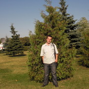 ���������� ������, ���� ������� ������, 39 ���, ������������ ��� ������, ����� � ���������, c�������� ���������