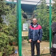 ���������� ��������, ���� ������� �����, 39 ���, ������������ ��� ������, ����� � ���������