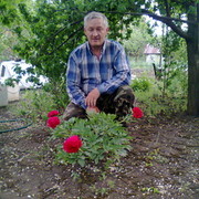  --,   , 67 ,   ,   , c 