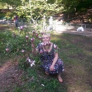  ,   , 59 ,  