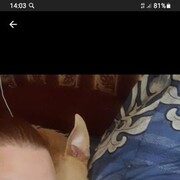  ,   , 41 ,     , c 
