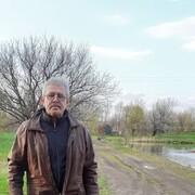  ,   Vova, 64 ,     , c 
