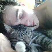 ���������� ������, ���� ������� ��������, 33 ����, ������������ ��� ����� � ���������, c�������� ���������, ���������