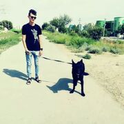  ,   , 28 ,   