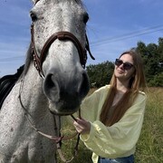 ���������� �����-���������, ���� ������� ��������, 31 ���, ������������ ��� ���������