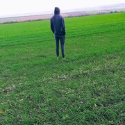 ���������� �������, ���� ������� Sergiu, 27 ���, ������������ ��� ������, ����� � ���������