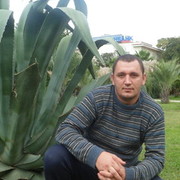 ���������� ���������, ���� ������� �����, 41 ���, ������������ ��� ������