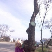 ���������� �����������, ���� ������� �����, 65 ���, ������������ ��� ������, ����� � ���������, c�������� ���������