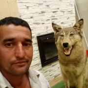 ���������� ������ �����, ���� ������� �����, 44 ����, ������������ ��� ������, ����� � ���������, c�������� ���������