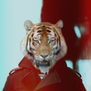 ���������� ������, ���� ������� HARUT, 33 ����, ������������ ��� ������