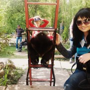  ,   , 27 ,   ,   , c 