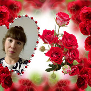  -,   , 46 ,  