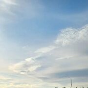 ���������� ���������, ���� ������� ������, 42 ����, ������������ ��� ����� � ���������