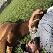 ���������� ���������, ���� ������� ����, 40 ���, ������������ ��� ������, ����� � ���������