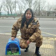 ���������� ������ ��������, ���� ������� ����, 33 ����, ������������ ��� ����� � ���������, c�������� ���������, ���������