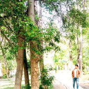  ,   Azik, 28 ,   ,   , c 
