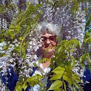 ���������� ������������, ���� ������� �������, 74 ����, ������������ ��� ������, ����� � ���������, c�������� ���������, ���������