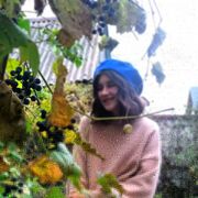 ���������� ������, ���� ������� ����, 25 ���, ������������ ��� ������, ����� � ���������