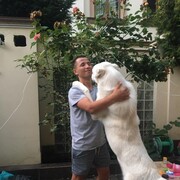 ���������� ������, ���� ������� �����, 33 ����, ������������ ��� ������, ����� � ���������, c�������� ���������