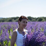  ,   , 50 ,     , c 