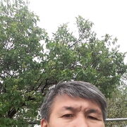  ,   , 52 ,   ,   , c , 