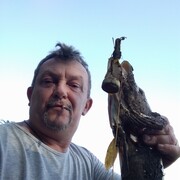  ,   , 57 ,   ,   