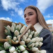 ���������� ������, ���� ������� �����, 24 ����, ������������ ��� ������, ����� � ���������