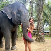 ���������� ����������, ���� ������� ������, 30 ���, ������������ ��� c�������� ���������