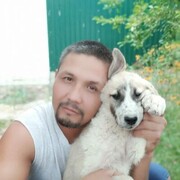  ,   ____, 45 ,   ,   