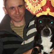  ,   , 51 ,   