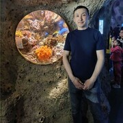 ,  , 30