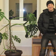  ,   , 53 ,   
